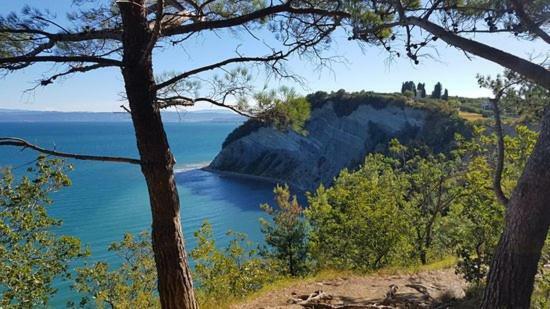 Amazing View Pirano Διαμέρισμα Εξωτερικό φωτογραφία