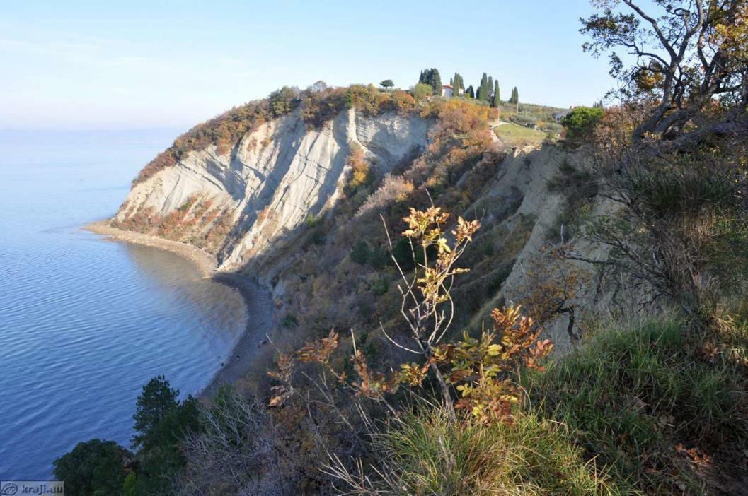 Amazing View Pirano Διαμέρισμα Εξωτερικό φωτογραφία