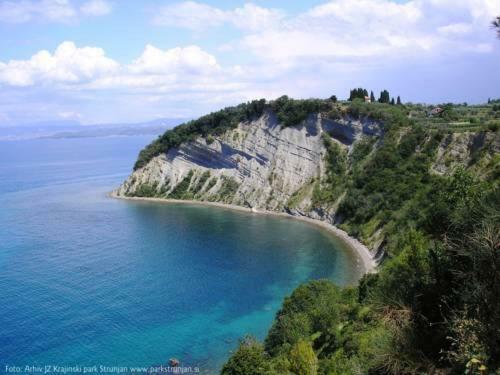 Amazing View Pirano Διαμέρισμα Εξωτερικό φωτογραφία