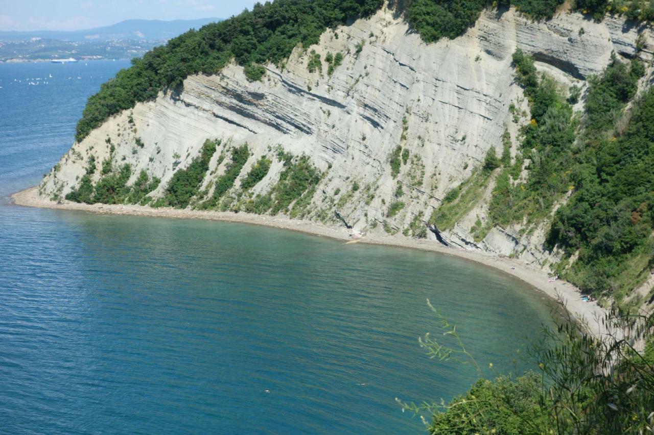 Amazing View Pirano Διαμέρισμα Εξωτερικό φωτογραφία